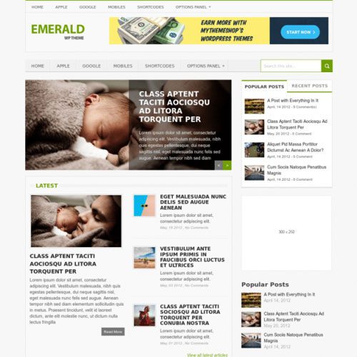 MyThemeShop Emerald WordPress Theme