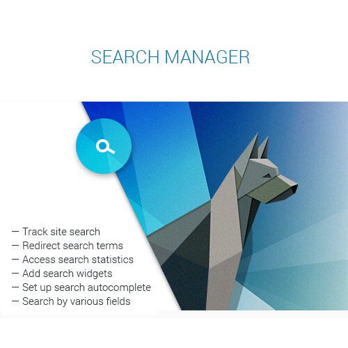 Search Manager — Plugin for WooCommerce and WordPress